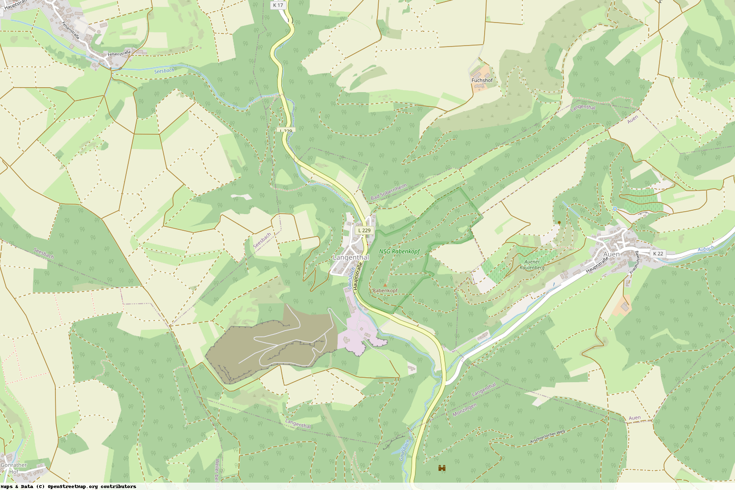 Ist gerade Stromausfall in Rheinland-Pfalz - Bad Kreuznach - Langenthal?