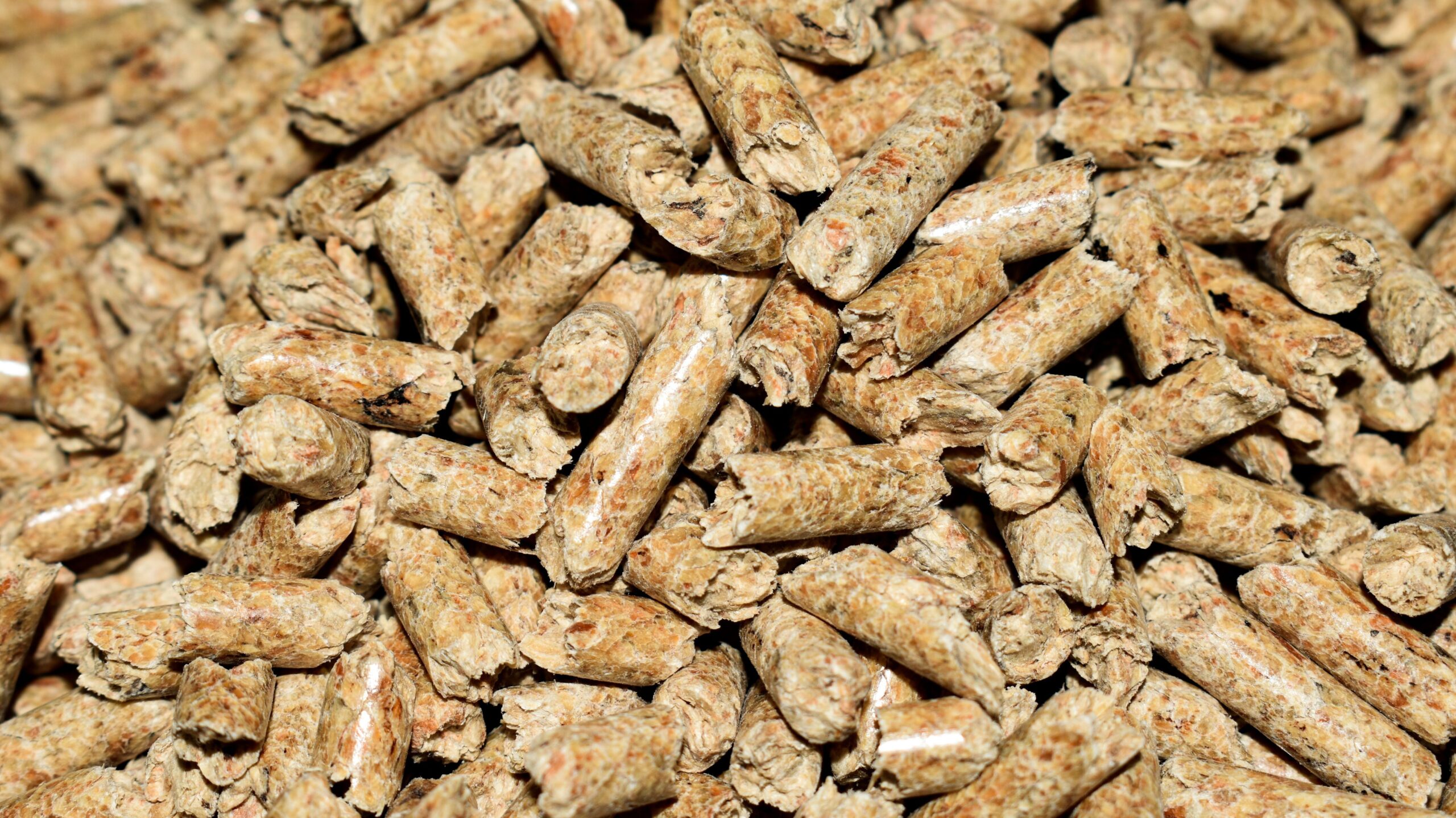 mrdidg pellets 4844847 edited scaled