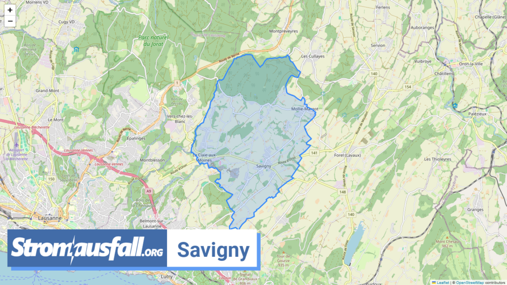 stromausfall ch gemeinde savigny